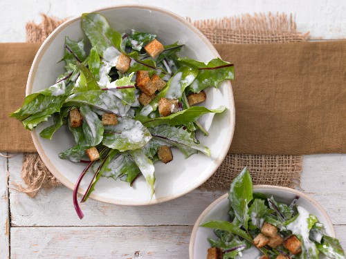 Löwenzahnsalat mit Schmandsauce und Croûtons