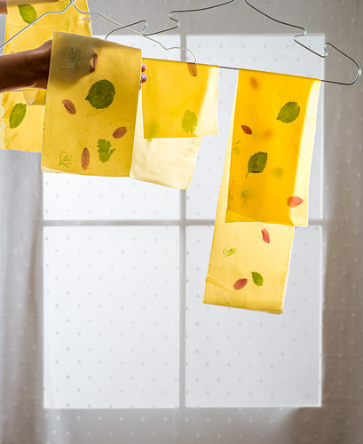 Selbstgemachte Lasagneblätter trocknen auf Kleiderbügel