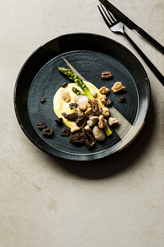 Veal sweetbread with green asparagus and a morel mushrooms Hollandaise