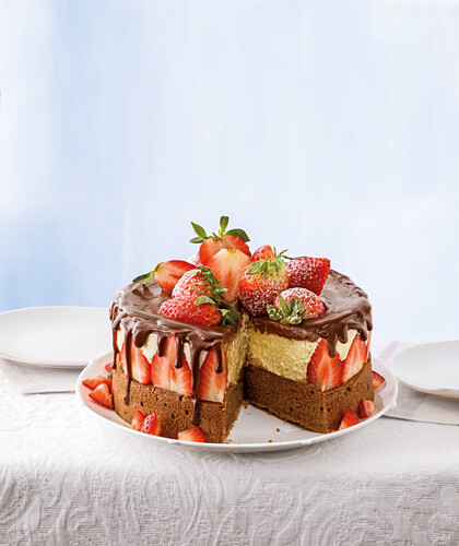 Schokoladen-Erdbeer-Kuchen