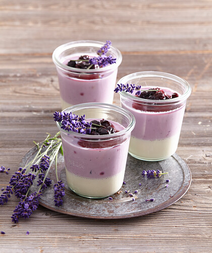 Panna cotta with lavender and blueberries