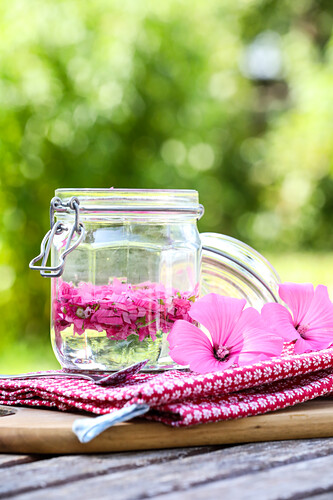 Tincture of malva for the prevention of hay fever