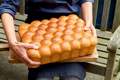 Bremer Zwieback