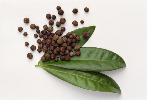 Pimento Leaves Images – License food photos StockFood