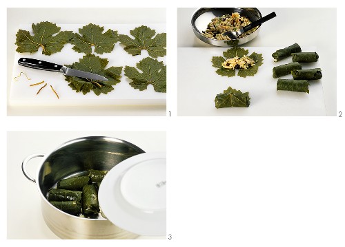 Zubereiten von Dolmades (gefüllte Weinblätter)