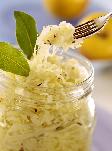 Selbst eingemachtes Sauerkraut im Glas und auf Gabel