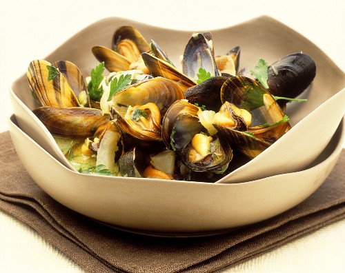 Mussels in white wine stock