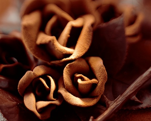 Velvety chocolate roses (close-up)