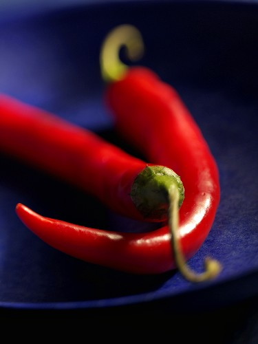 Chillies, variety 'Long red'