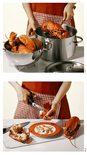Cooking and cutting up a lobster