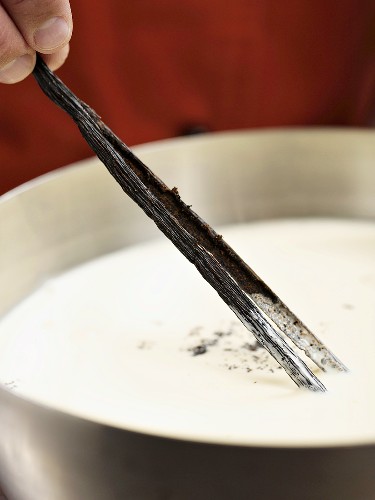 Aufgeschnittene Vanilleschote mit Vanillemark in die Milch geben