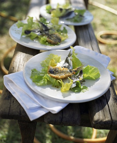 Roh marinierte und frittierte Sardinen mit Salat