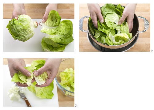 Separating a lettuce into leaves and tearing up the leaves