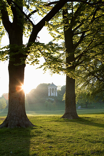 Monopteros, Englischer Garten, München, … - Bild kaufen ...