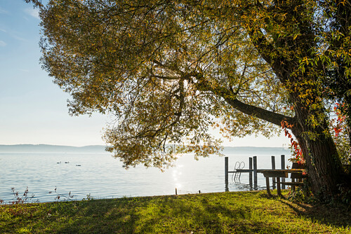 Bootssteg Mit Leiter In Den See Herbst Bild Kaufen