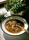 Barley Soup with Spring Herbs