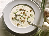 Garlic Cream Soup Innsbruck-style