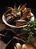 Mussels in wine (Italy)