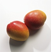 Frische Mangos