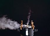 Steaming Pressure Cooker