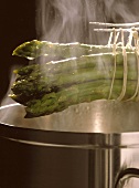 Freshly boiled green asparagus