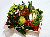 Wood Crate Filled with Fresh Vegetables