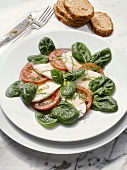Tomato Salad on Spinach
