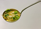 Soup Ladle with Vegetable Soup & Filled Pasta Squares