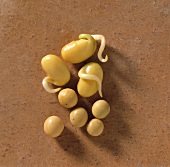 Gelbe Smoothie & Sojabohnensprossen