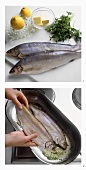 Preparing whitefish, Fisherman's style