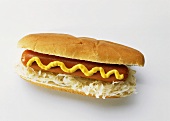 One Hot Dog with Sauerkraut and Mustard