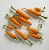 Lots of carrots