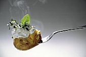 Potato with Herb Sour Cream; Fresh Herbs