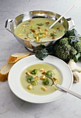 Broccolisuppe mit Croûtons