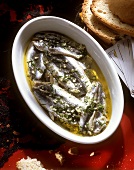 Marinated Anchovies with Garlic