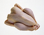 Whole Uncooked Turkey