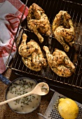 Grilled Chicken with Caper Sauce