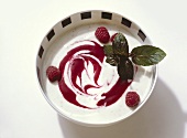 Bowl of Raspberry Yogurt