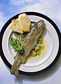 Trout with Onions & Basil