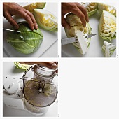 Preparing cabbage