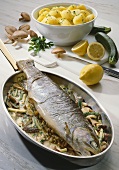 Sea Trout with Mushrooms and Zucchini