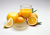Freshly Squeezed Citrus Juice with Fruit