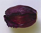 Small Red Cabbage