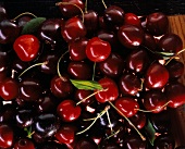 Fresh Red Cherries in a Pile