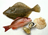 Plaice; Red Snapper & Clams