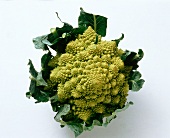 Romanesco