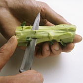 Peeling broccoli stalk