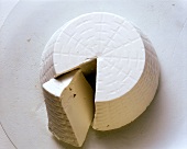 Piece of Ricotta