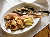 Fritto misto di mare (deep-fried seafood, Italy)