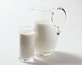 A glass of milk and milk jug